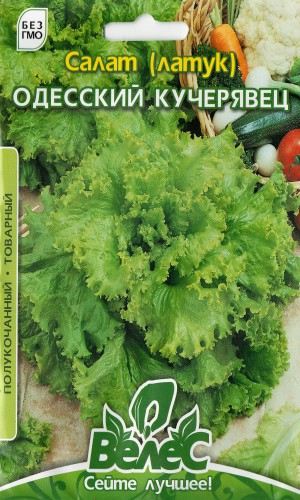 Насіння салату Одеський кучерявець 10г (Велес)