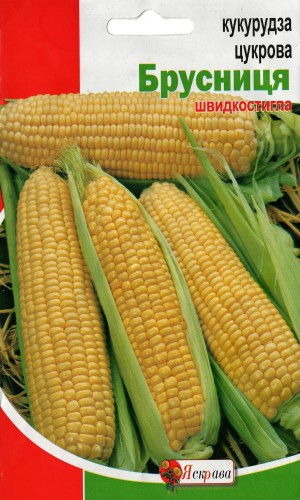Насіння кукурудзи Брусниця 20г (Яскрава)