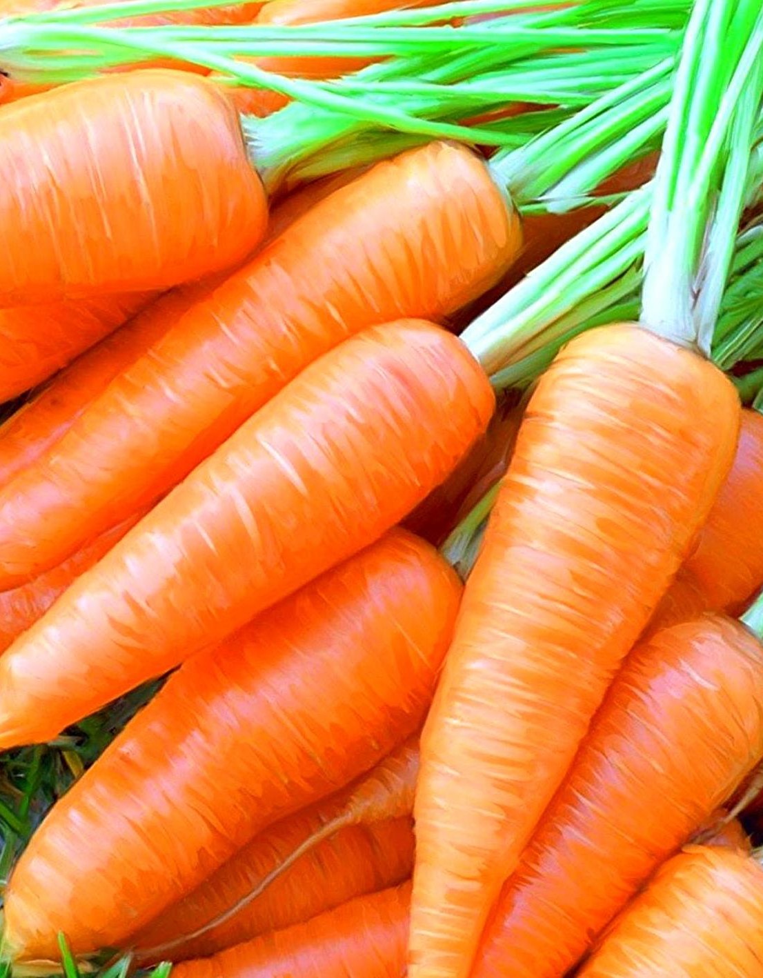 Морква (європакет)
