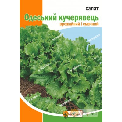 насіння салату Одеський Кудрявець 1 г Яскрава