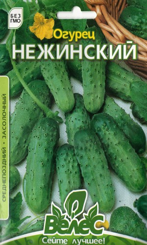 Семена огурцов Нежинский 5г (Велес)